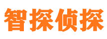 山西调查公司